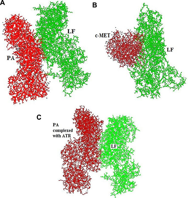 Figure 4: