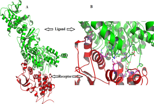 Figure 5: