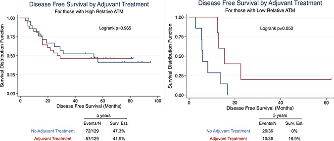 Univariate survival analysis in NSCLC patients stratified by adjuvant treatment in high ATM-EI and low ATM-EI groups.