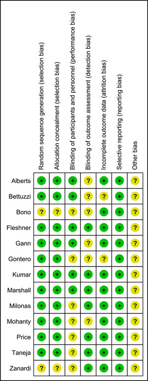 Risk of bias evaluations.