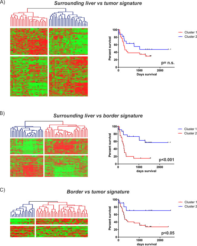 Prognostic implications of the identified gene expression signatures.