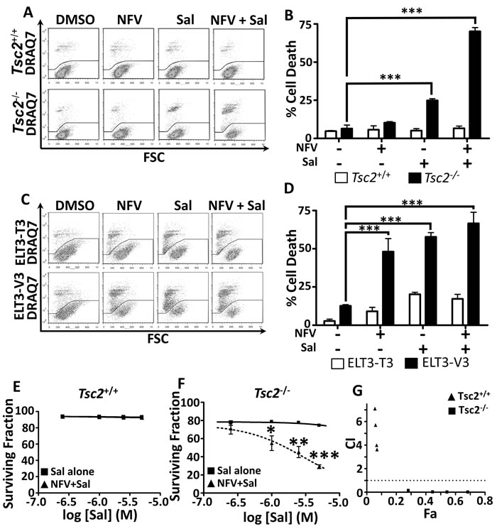 Dual nelfinavir/salinomycin treatment kills