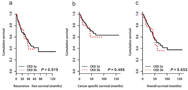 Kaplan-Meier estimates depicting the recurrence-free survival (a), cancer-specific survival (b), and overall survival (c) stratified according to chronic kidney disease stage 3 (3a vs.