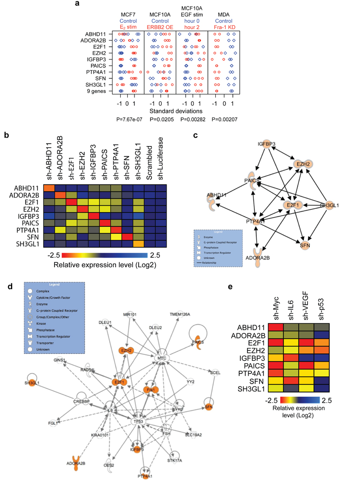 A genetic network driving breast cancer.
