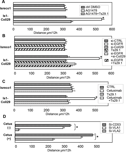 The effect of EGFR on cell motility is related to Co-029 expression.