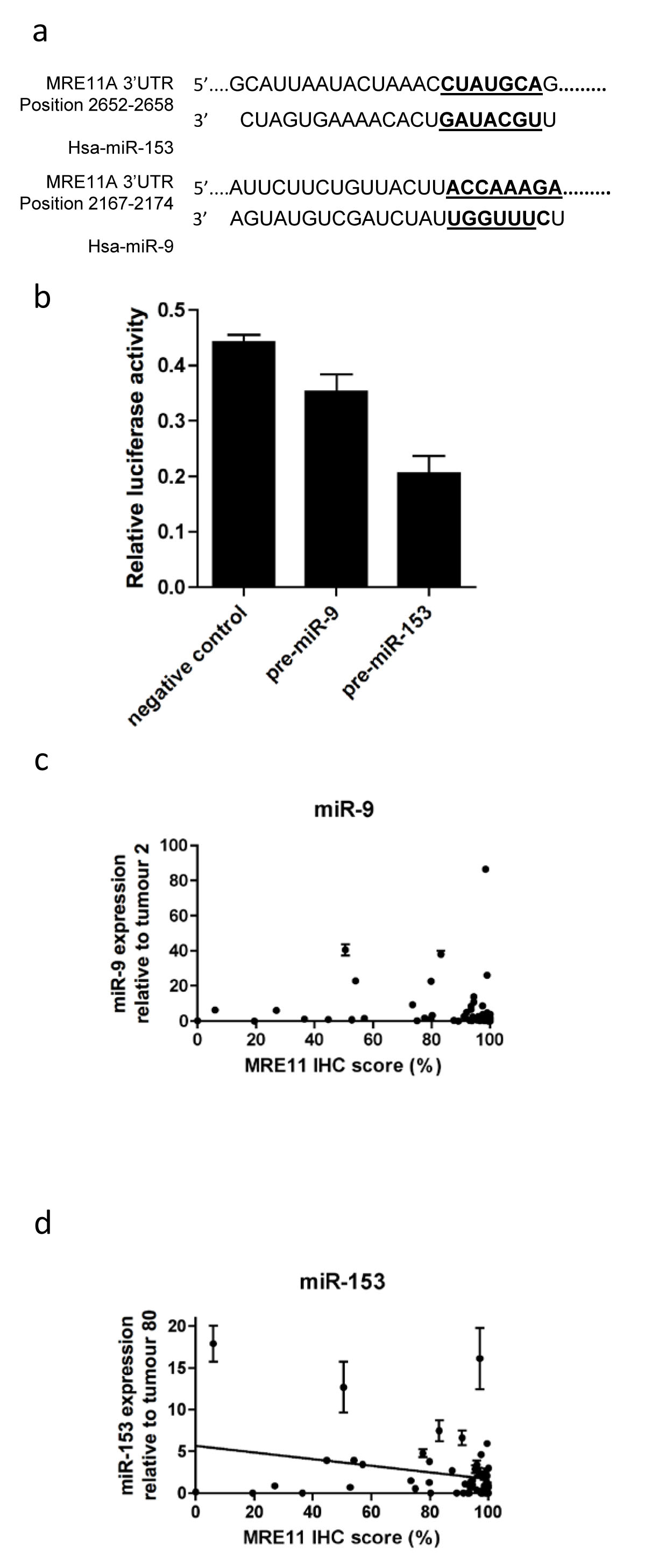 Effects of microRNA-9 and microRNA-153 on MRE11 protein expression in bladder cancer.