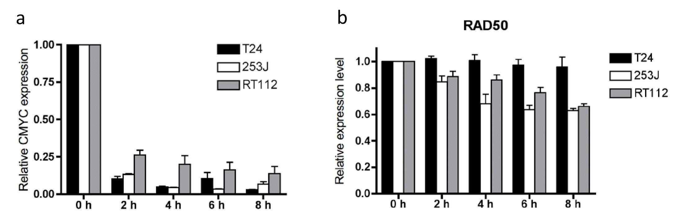 a) c-MYC RNA stability and b) RAD50 RNA stability in T24, 253J and RT112 cells.