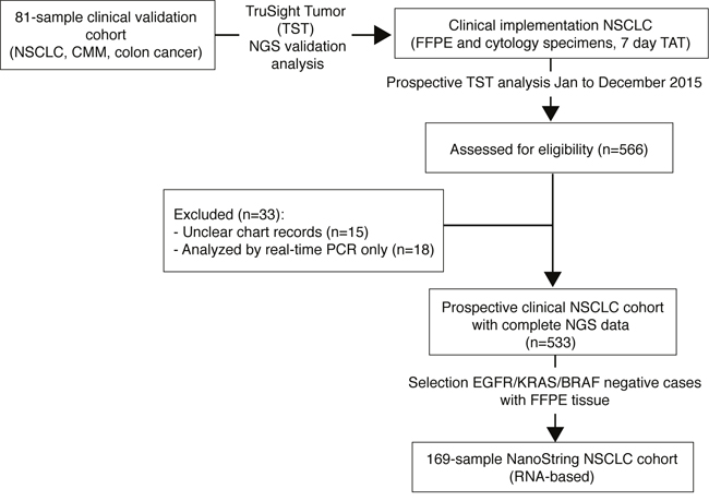 Study scheme outlining analyses and cohorts.