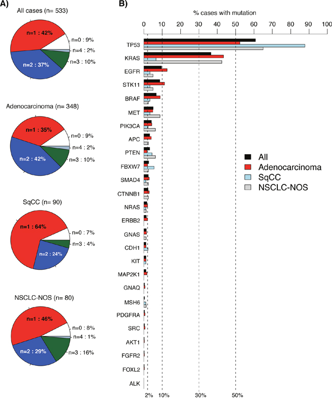Detected variants in 533 consecutive lung cancers analyzed by the 26-gene TST panel.