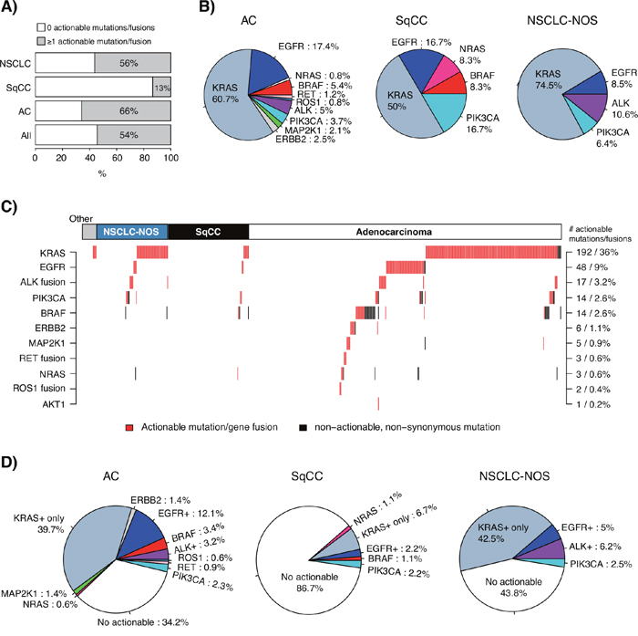 Integration of actionable mutations and gene fusions in the consecutive 533-sample cohort.