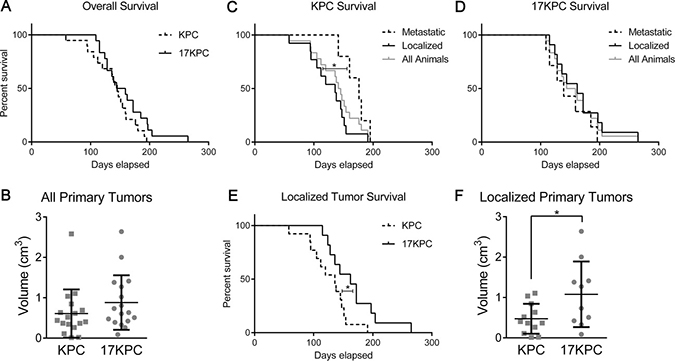 Loss of mir-17~92 prolongs survival in mice without metastases.
