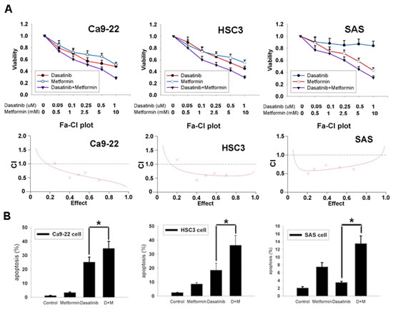 Metformin enhanced anti-cancer effect of dasatinib.