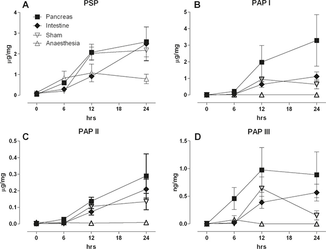 Response of the pancreas to a pancreatic ductal lesion (Pancreas), intestinal lesion (Intestine) laparotomy (Sham), or anaesthesia control (Anaesthesia).