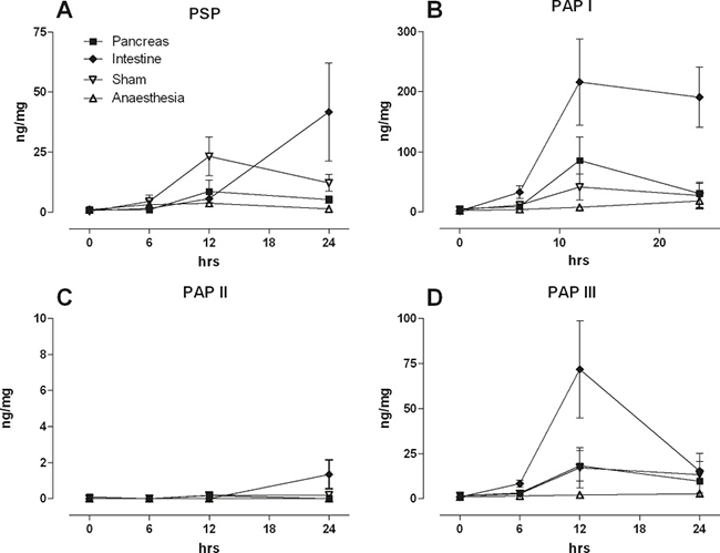 Intestinal levels of PSP, PAPI ,II, III in response to a pancreatic ductal lesion (Pancreas), intestinal lesion (Intestine), laparotomy (Sham), or anaesthesia control (Anaesthesia).