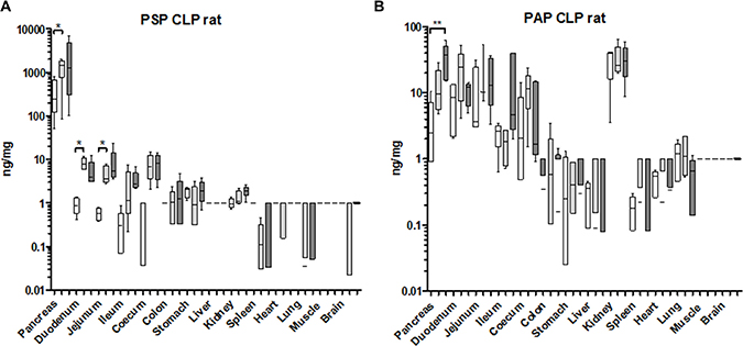 Organ-specific response of PSP and PAPI to a septic event in the rat.