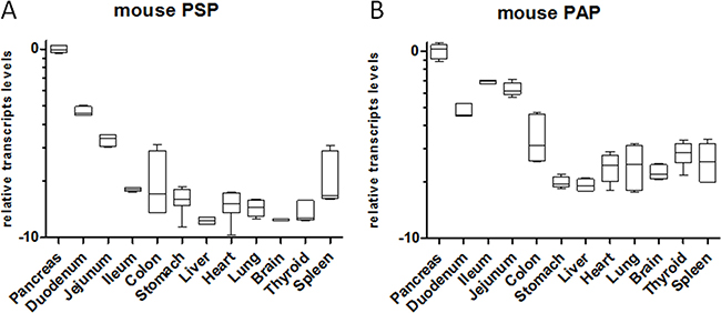 Relative transcript levels of PSP and PAP in the mouse at base-line in various organs.