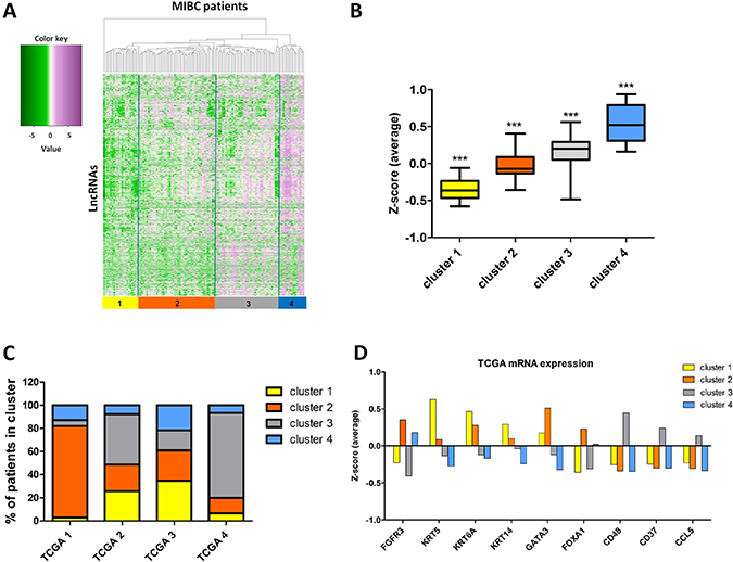 Characterization of lncRNAs expression in MIBC.