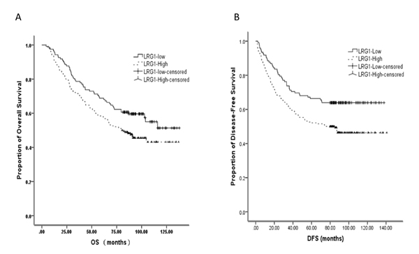 Kaplan–Meier plots showing correlation between expression of LRG1with overall and disease-free survival in the CRC patients.