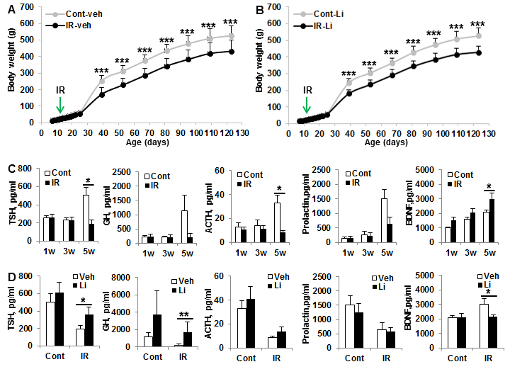 Effect of lithium treatment on pituitary hormones and body weight gain.