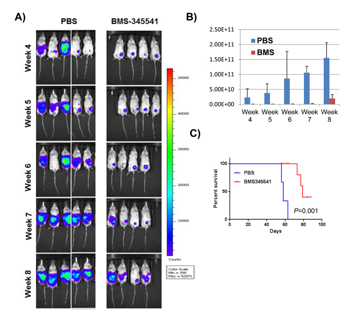 Figure 4: