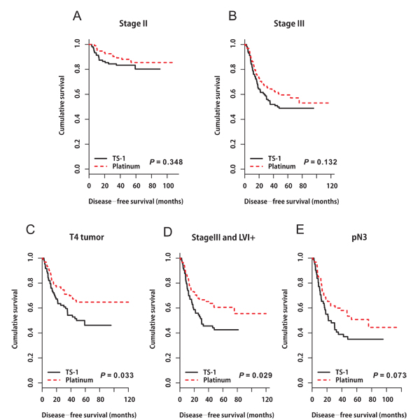 Disease-free survival curves stratified by adjuvant chemotherapy in patients with A.