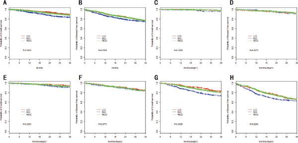 Kaplan&#x2013;Meier survival analyses by tumor stage and location.