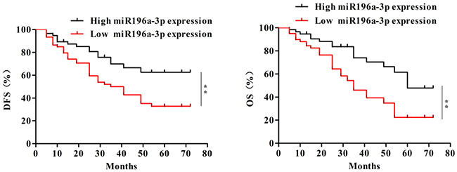 Decreased expression of miR-196a-3p correlates with poor clinical outcomes in breast cancer.