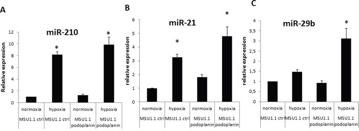 MiRNA expression modulation in MSU 1.1 fibroblasts upon PDPN expression in normoxia and hypoxia.