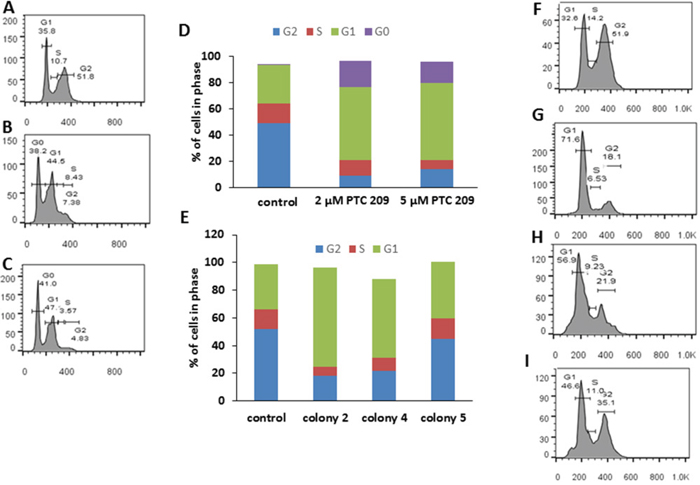 Bmi1 downregulation causes cell cycle arrest.