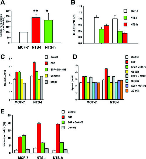 NTS autocrine and paracrine regulations enhanced oncogenic cellular effects on EGF-induced migration and invasion.