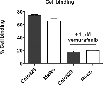 Quantification of cell bound + internalized fraction of [11C]vemurafenib after incubation with tumor cells.