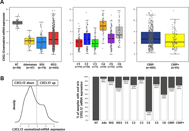 CXCL12 mRNA expression distribution.