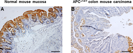 Figure 3: