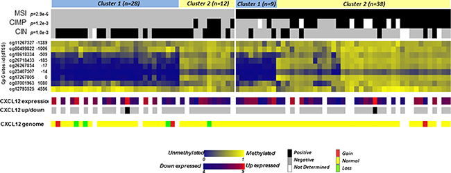 Heatmap of methylation levels of CpG sites in the CXCL12 CpG island region.