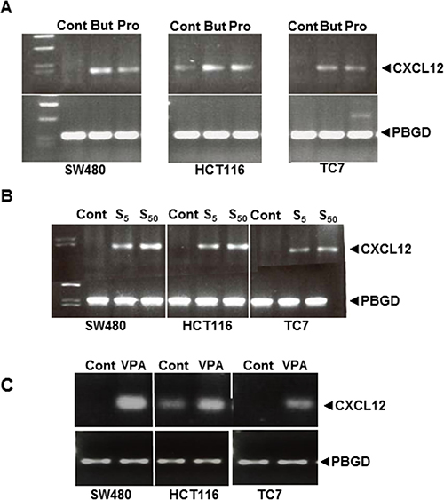 Figure 5: