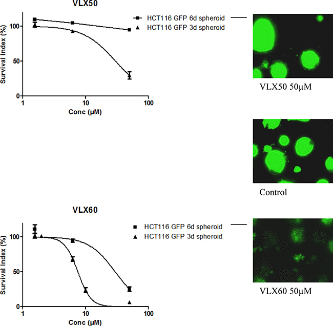 Cell survival in the FMCA assay, expressed as survival index of cell lines cultured as 3-D spheroids for 3 or 6 days and then exposed to VLX50 (upper panel) or VLX60 (lower panel) for 72 h.