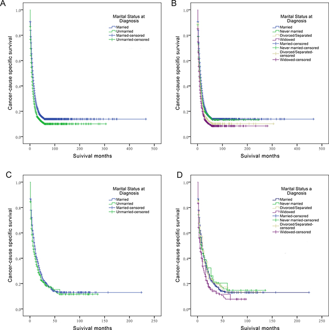 Survival curves in cholangiocarcinoma patients.