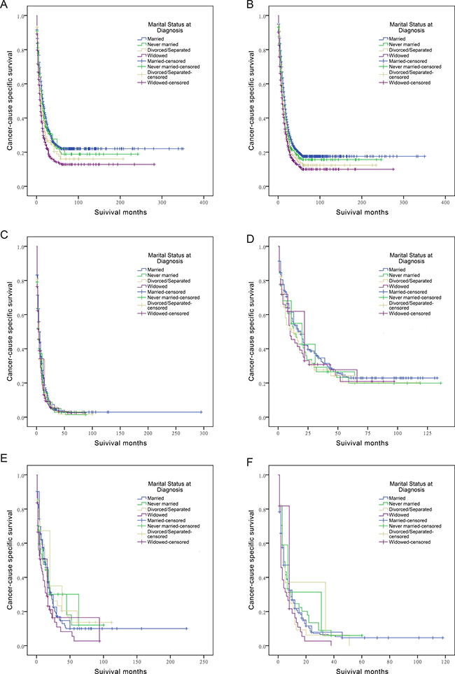 Survival curves in cholangiocarcinoma patients according to marital status.