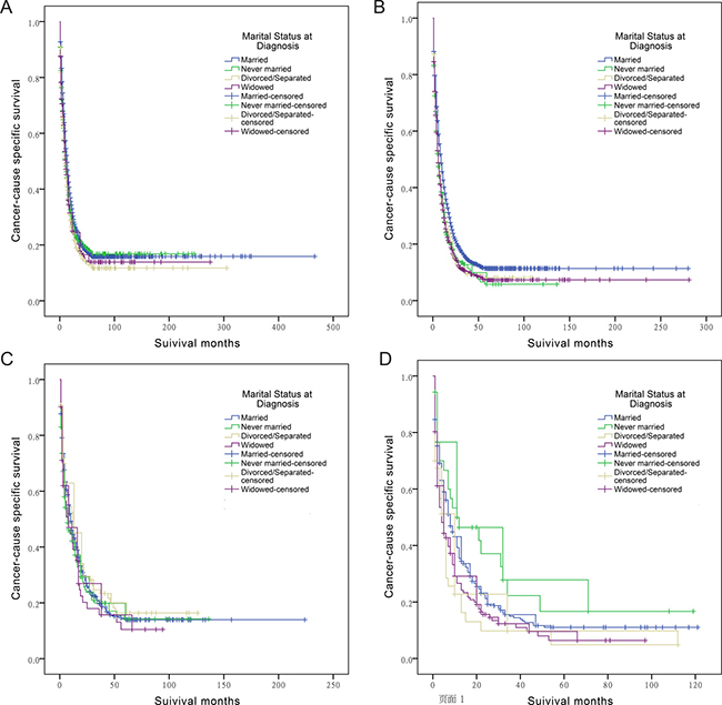 Survival curves in cholangiocarcinoma patients according to marital status.