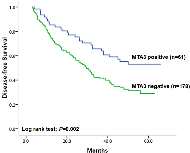 Kaplan&#x2013;Meier postoperative survival analysis on disease-free survival for patients with colorectal cancer and MTA3 staining.