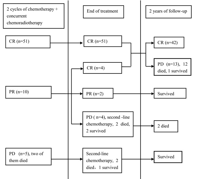 Treatment response and prognosis in patients.