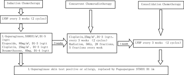 Treatment protocol.