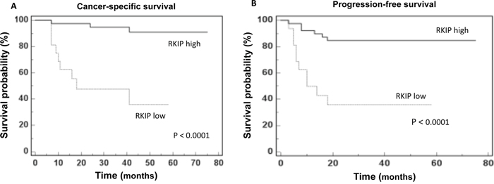 RKIP prognostic value.