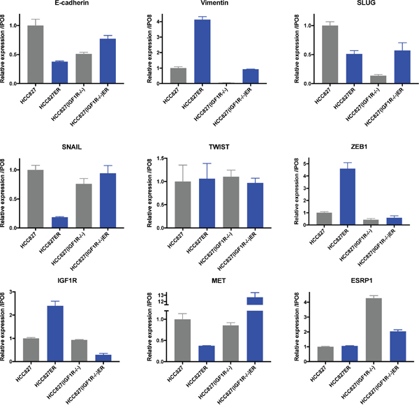 EMT marker expression after acquired erlotinib resistance.