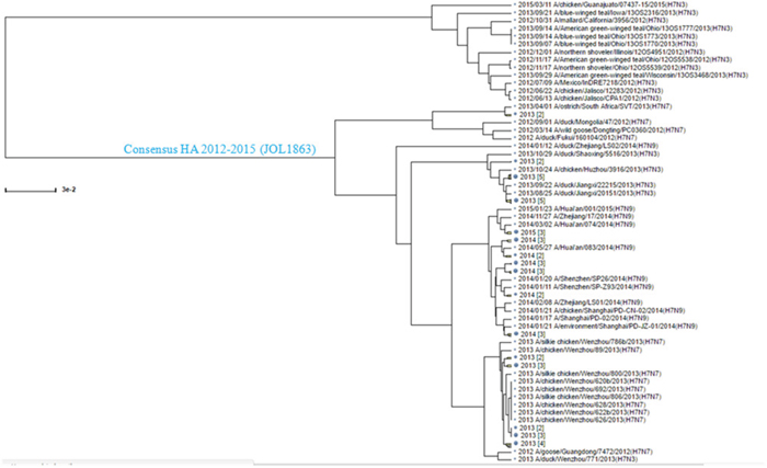 Phylogenetic analysis of the H7N1, H7N7, and H7N9 HA sequences.