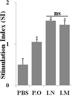 In vitro proliferations of lymphocytes from vaccinated chickens in response to recall HA antigen.