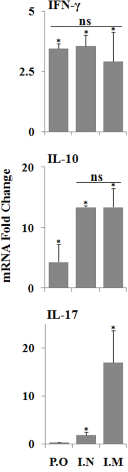 qRT-PCR analysis of cytokine gene expressions in PBMCs after stimulation with HA protein.