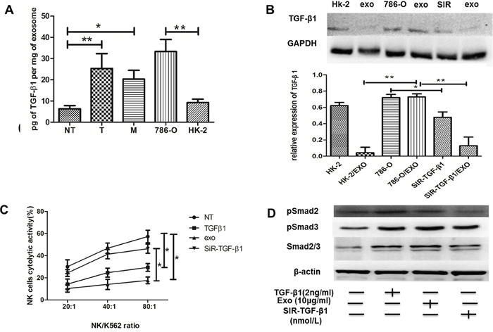 Texs interacted with NK cells through TGF&#x03B2;1/Smad signaling.