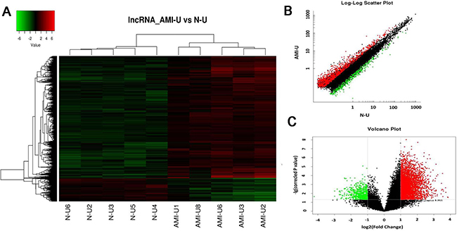 Differential expression of lncRNAs in patients with acute myocardial infarction (AMI) and control individuals in Uyghur of Chinese.