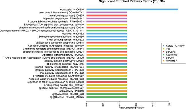 Pathway analysis of differentially expressed lncRNAs.